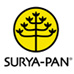 Fernando Hernandez Jr. fundador do Surya Pan Hotel e Eventos